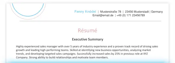 Resume Executive Summary