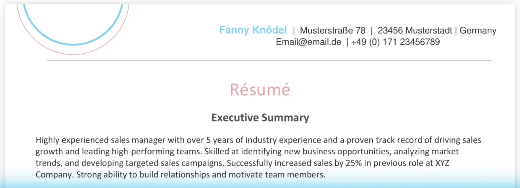 Resume Executive Summary